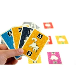 999 Games The Brain^ Kaartspellen