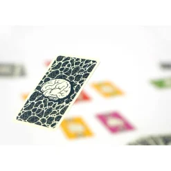 999 Games The Brain^ Kaartspellen