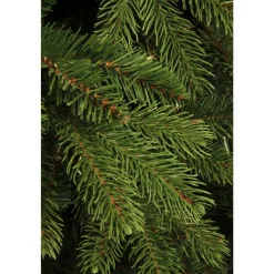 Black Box Trees Kerstboom Brampton (H185Xo127 Cm) New
