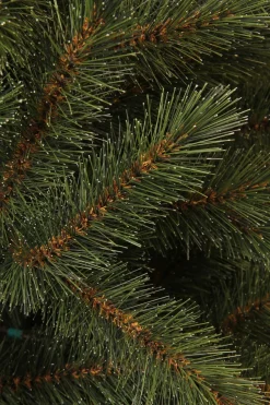 Black Box Trees Kerstboom Toronto (H185 X O114 Cm) Best