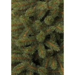 Black Box Trees Kerstboom Toronto (H215Xo132 Cm) Discount