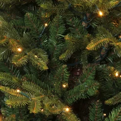 Black Box Trees Verlichte Kerstboom Frasier (H185 X O124 Cm) Discount