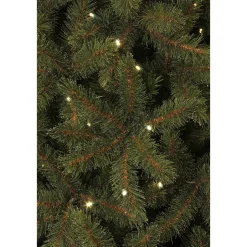 Black Box Trees Verlichte Kerstboom Toronto (H185Xo114 Cm) Sale