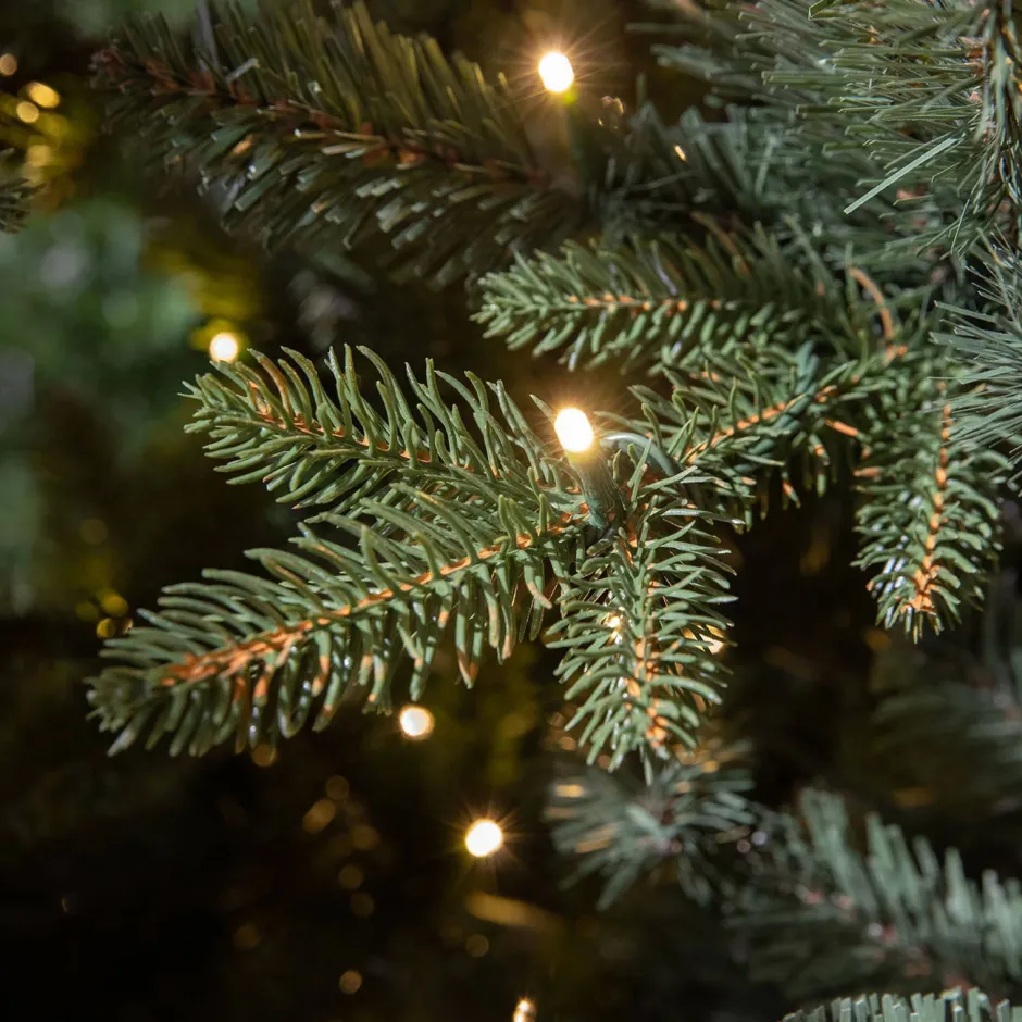 Black Box Trees Verlichte Kerstboom Elkins (H230 X O132 Cm) Sale