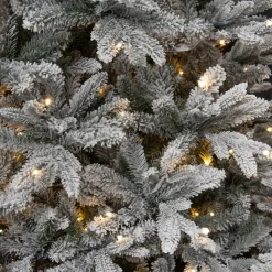 Black Box Trees Verlichte Kerstboom Frasier (H215 X O145Cm) Sale