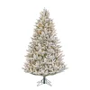 Black Box Trees Verlichte Kerstboom Frasier (H185 X O124Cm)