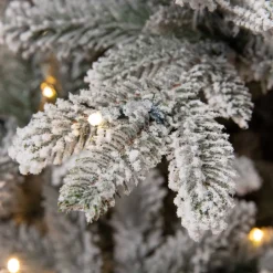 Black Box Trees Verlichte Kerstboom Frasier (H185 X O124Cm)