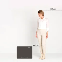 Brabantia Bo Pedaalemmer (36L) Discount