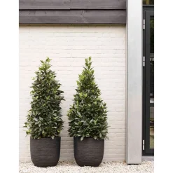 Capi Bloempot Nature Row (O43X41 Cm)^ Bloempotten