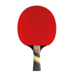 Cornilleau Excell 2000 Carbon Bat Indoor^ Speltafels