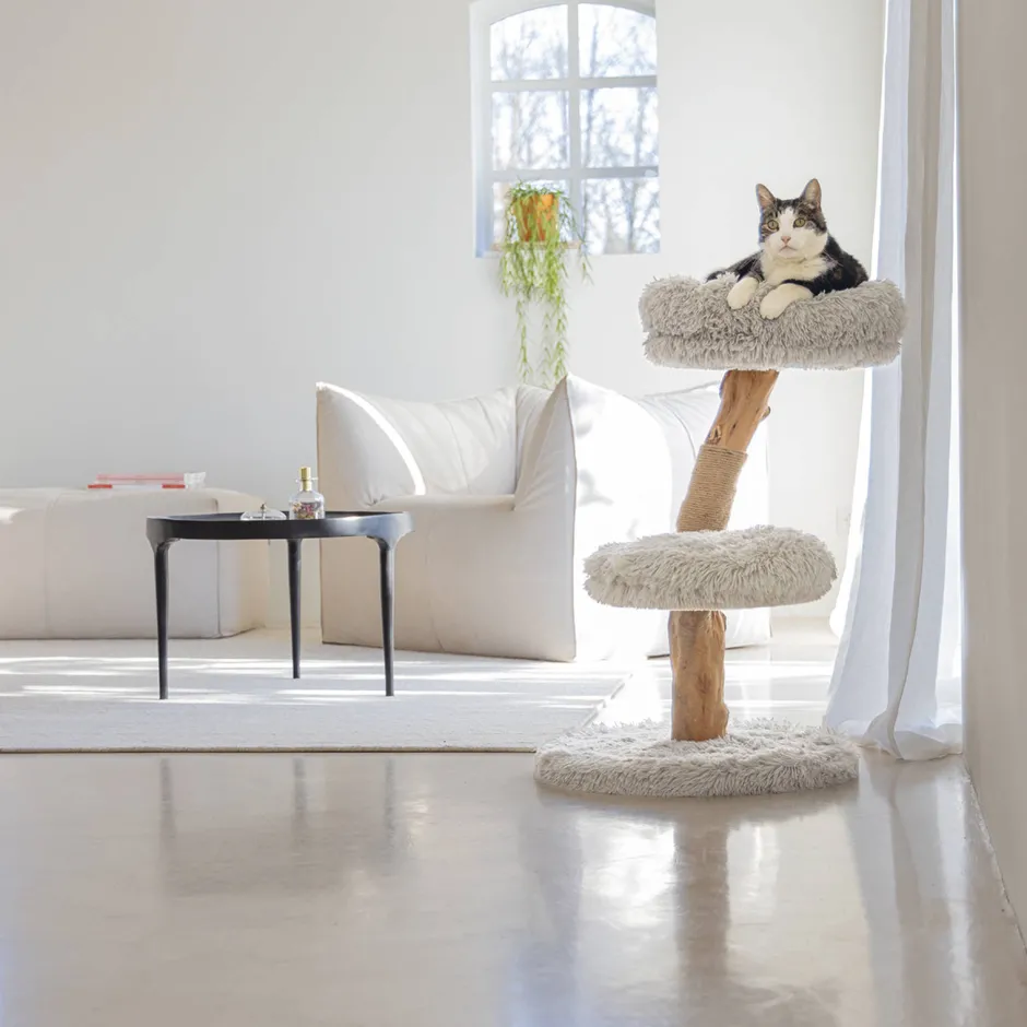 Designed by Lotte Houten Krabmeubel Zora -50X72-Grijs Discount