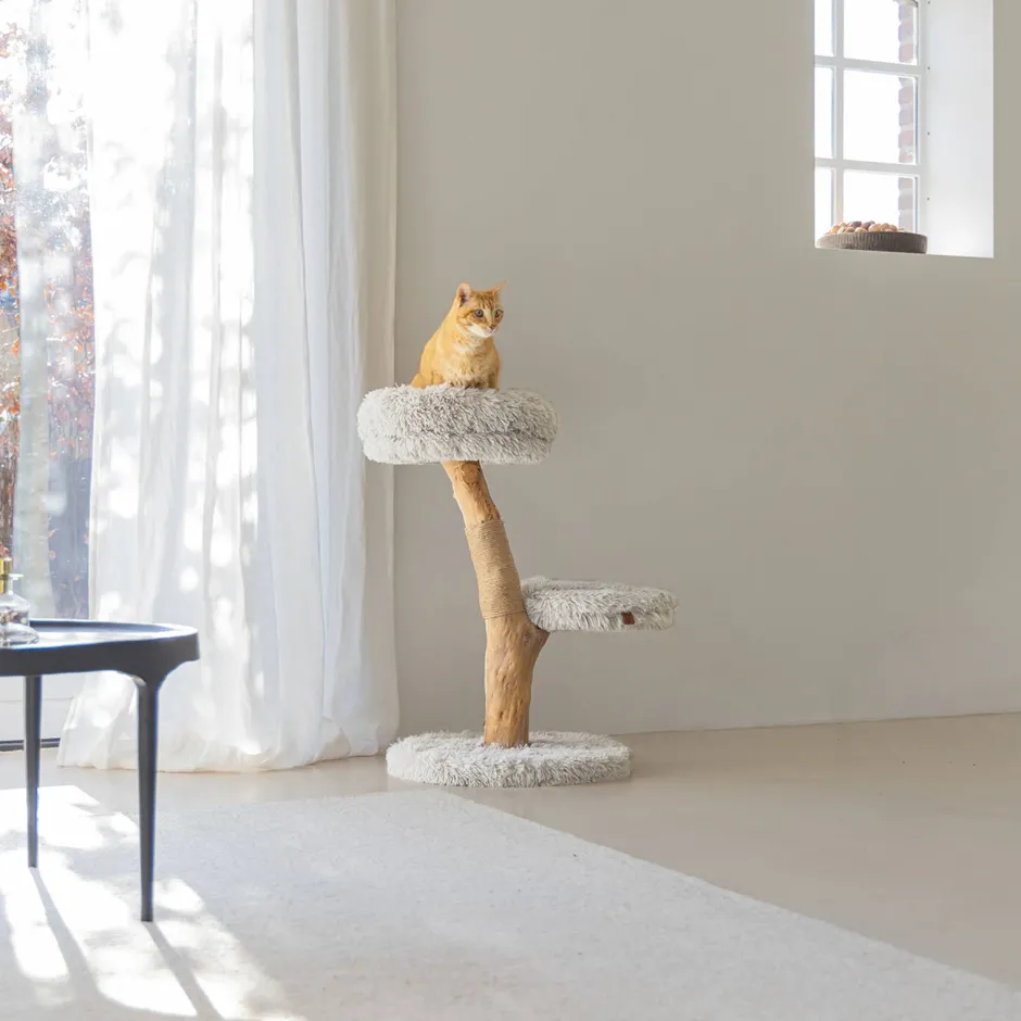 Designed by Lotte Houten Krabmeubel Zora -50X72-Grijs Discount