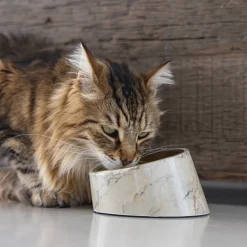 Designed by Lotte Kattenvoerbak Vita 160 Ml Beige Sale