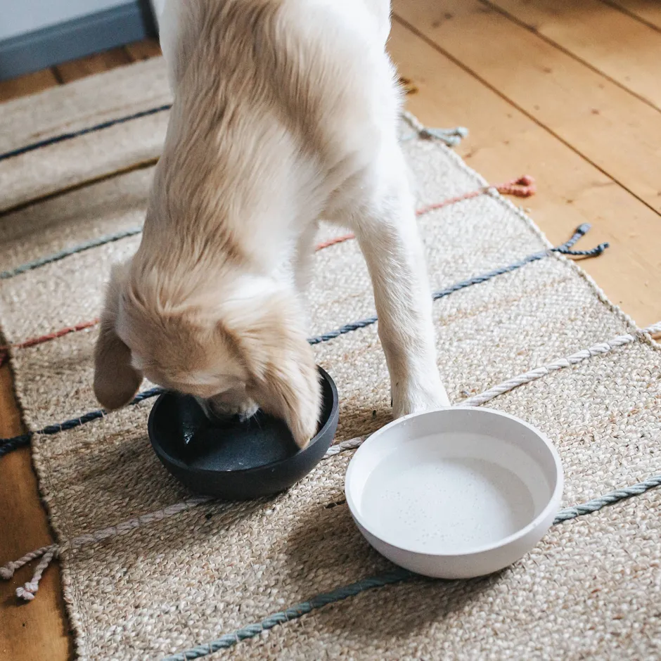 District 70 Bamboo Hond Voerbak - L - Merengue Online