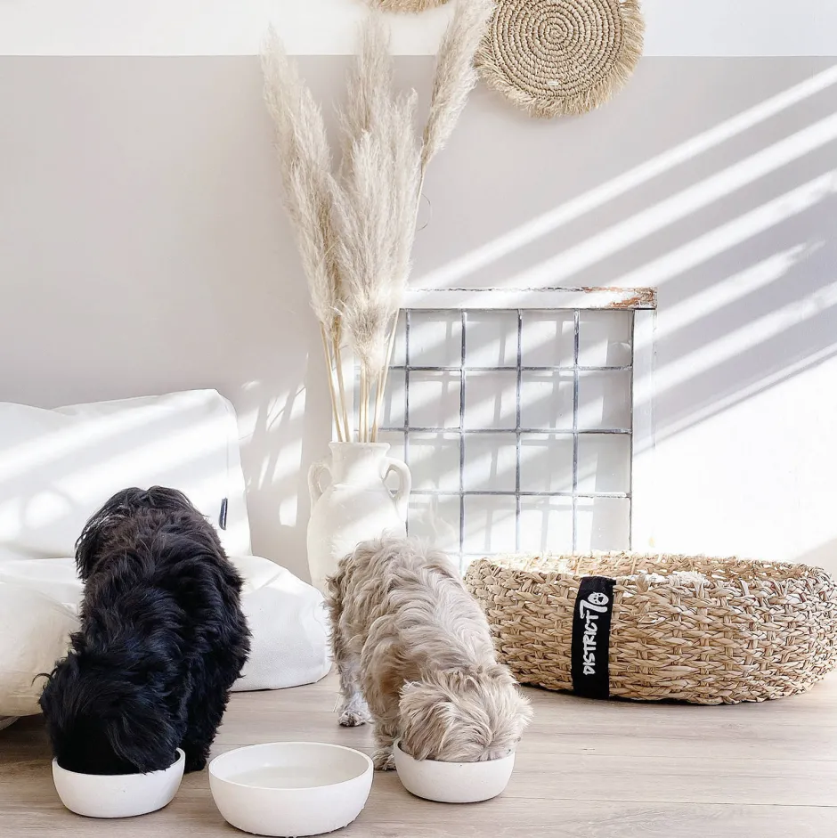 District 70 Bamboo Hond Voerbak - L - Merengue Online