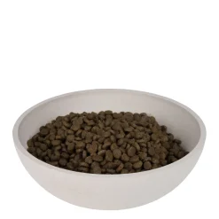 District 70 Bamboo Hond Voerbak - L - Merengue Online