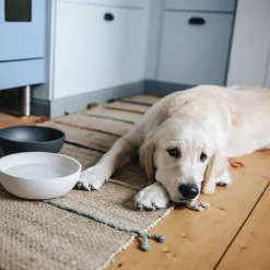 District 70 Bamboo Hond Voerbak - L - Merengue Online