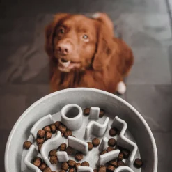 District 70 Hondenvoerbak Bamboo Dog Slow Feeder - O 21 Cm - Merengue Outlet