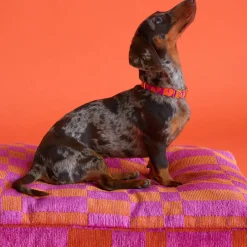 Dogguo Hondenkussen Jacquard Blok Patroon Oranje En Magenta Maat L Hot