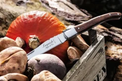 Laguiole Style de Vie Clearance