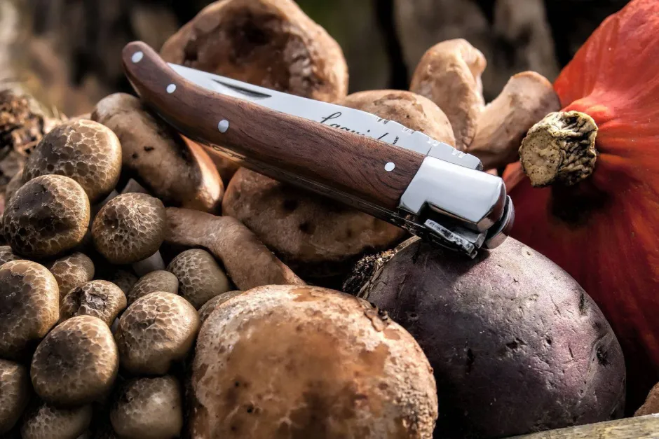 Laguiole Style de Vie Clearance