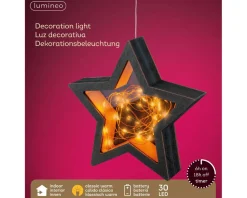 Lumineo Micro Ster (30 Led) New