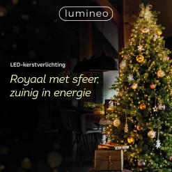 Lumineo Verlichtingssnoer Kerst Cluster (768 Led) Sale