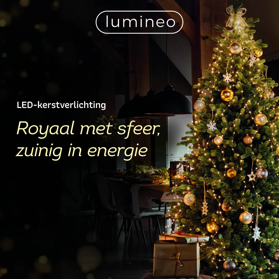 Lumineo Verlichtingssnoer Kerst Cluster (1128 Led) Outlet