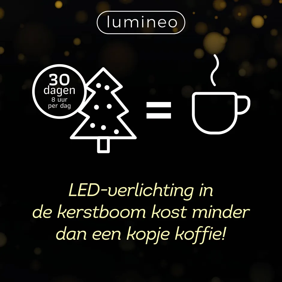 Lumineo Verlichtingssnoer Kerst Cluster (1128 Led) Outlet