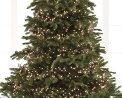 Lumineo Verlichtingssnoer Kerst Cluster (1128 Led) Online