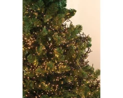 Lumineo Verlichtingssnoer Kerst Cluster (1128 Led) Online