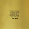 wehkamp Nathaniel Rateliff & The Night Sweats - The Future (Lp)^ Muziek