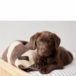 OYOY ZOO Honden / Katten Plaid Kaya (100X80 Cm) Outlet