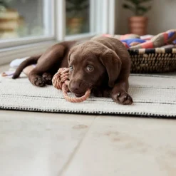 OYOY ZOO Hondenspeeltje Otto (22 Cm) Best