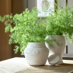 Riviera Maison Vaas Rm Paloma Hot