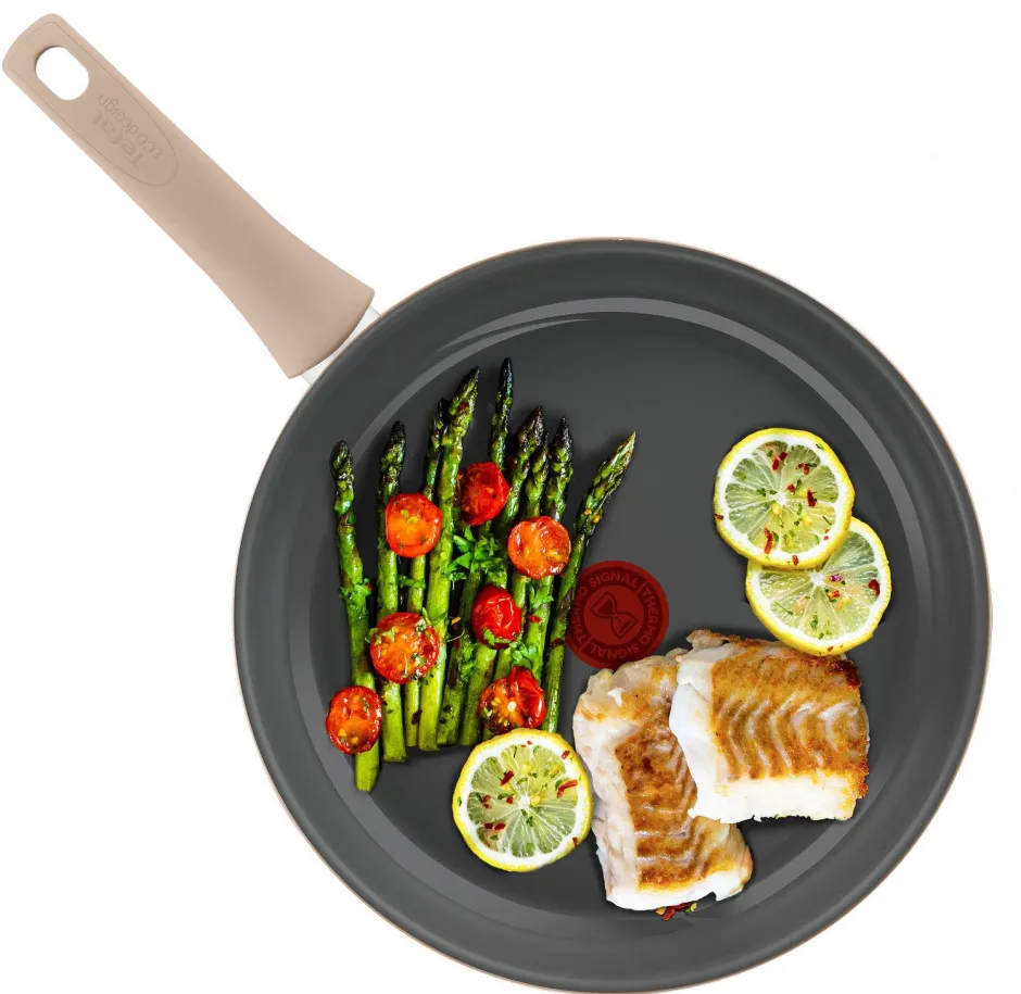 Tefal Revive Koekenpan (O20 Cm) Clearance