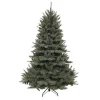Triumph Tree Kerstboom Forest Frosted (H215 X O140 Cm) Best