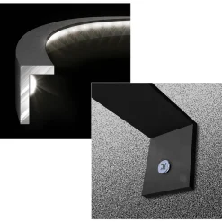 Winmau Plasma Dartbord Light^ Darten