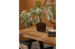 Woood Eettafel Tablo Mango Online